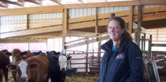 A woman stands near cows in a barn