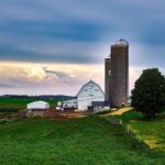 A cornucopia of plenty Wisconsin dairy farm