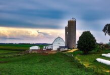 Developing a vision statement Wisconsin dairy farm