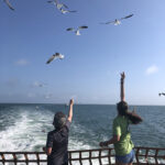 Geiss family gets close to nature on relaxing beach vacation North Carolina's Outer Banks