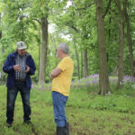 Snake Den Mounds complex