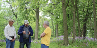 Ancient mounds inspire farm’s preservation efforts Snake Den Mounds complex