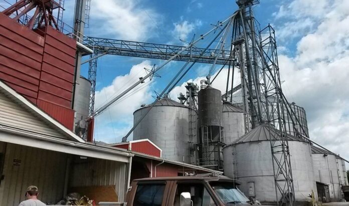 Witmer's Feed and Grain