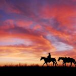 A hairy question sunset, cowboy