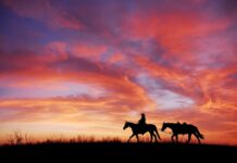 A story waiting to be told: Part 1 sunset, cowboy