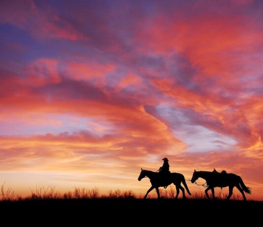 A story waiting to be told: Part 1 sunset, cowboy