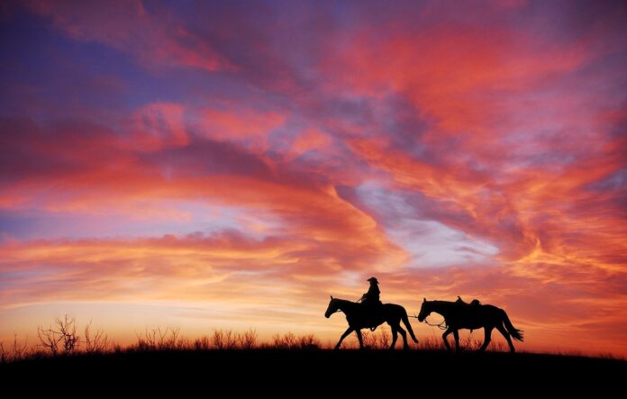 sunset, cowboy