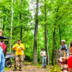 European ecological forestry