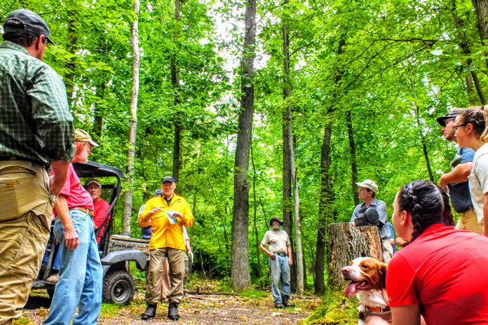 European ecological forestry European ecological forestry