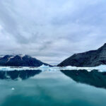 The quest to save North Atlantic native sheep Greenland fjord