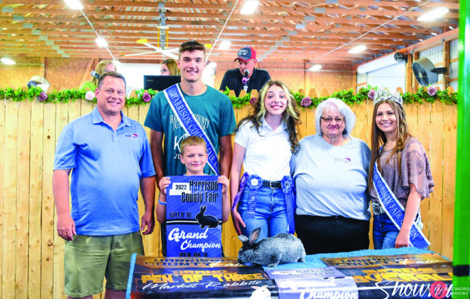 Grand Champion Rabbits