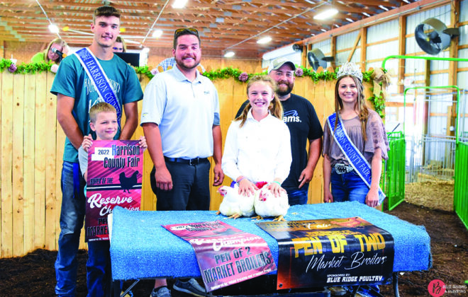 Reserve Champion Chickens