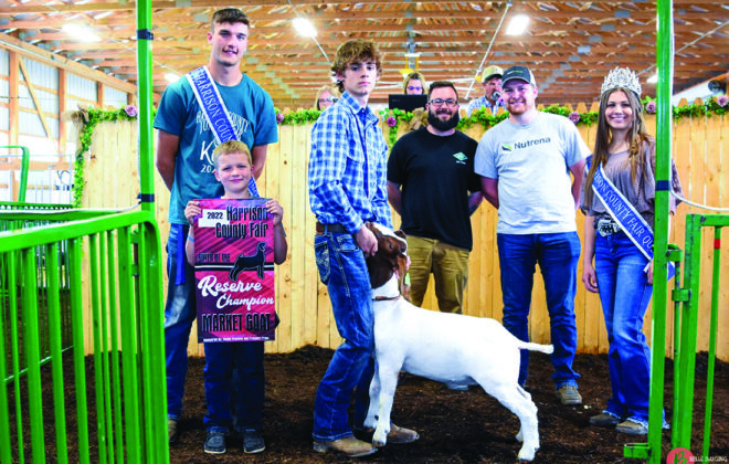 Reserve Champion Market Goat