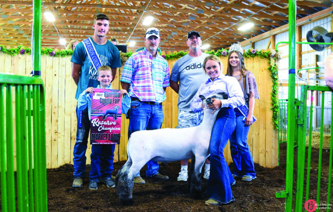 Reserve Champion Lamb