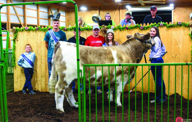 Reserve Champion Steer