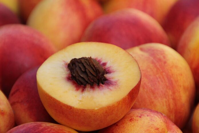 peaches peaches