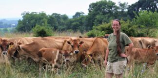 Grazing mentor program launched in Pennsylvania