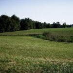 Could carbon markets be a new source of income? Ohio field