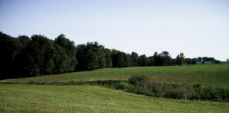 Could carbon markets be a new source of income? Ohio field