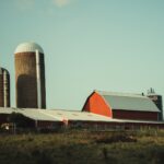 Ohio farm groups, businesses urge reform to address farm labor issues red and white building near green trees during daytime