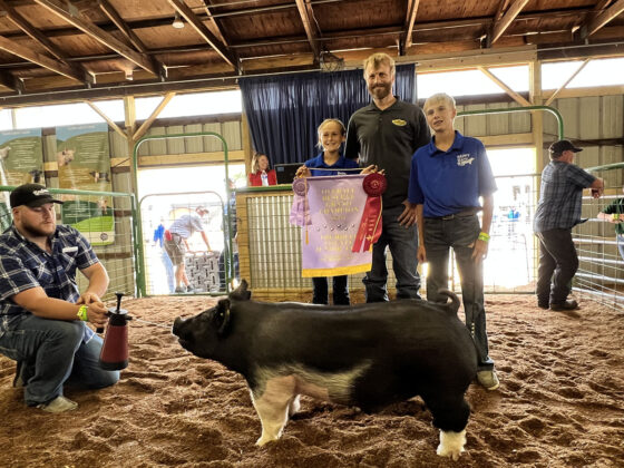 Reserve Champion Hog