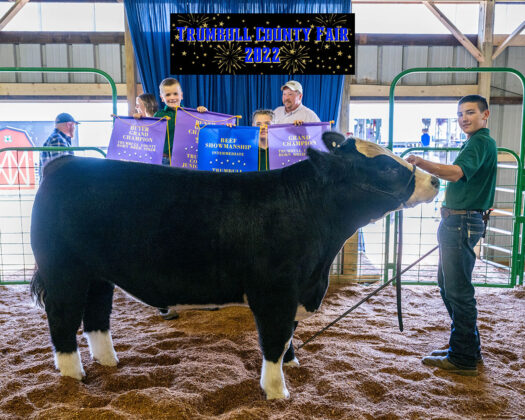 Grand Champion Beef Steer