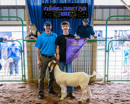 Grand Champion Goat
