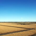The red hot hounds of summer are still on the loose crop fields