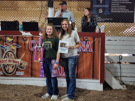 Grand Champion Fryer Rabbit