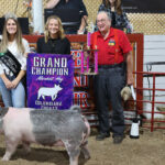 2022 Columbiana County Fair sale Grand Champion Market Hog