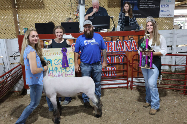 Grand Champion Market Lamb