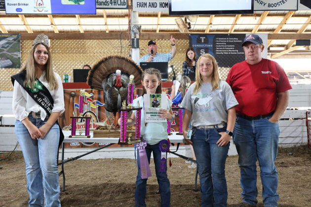 Reserve Champion Market Turkey