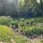 How to amend your garden soil for next season garden