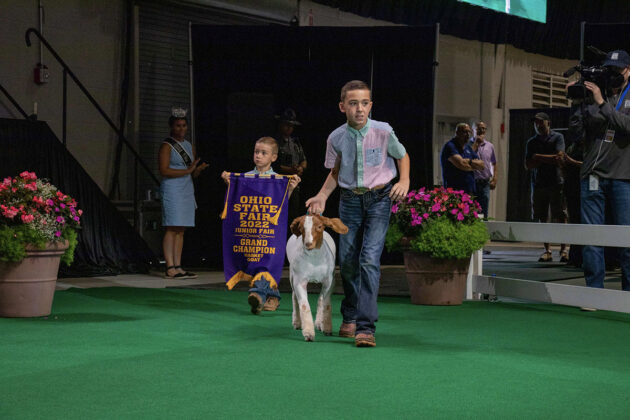 Grand Champion Market Goat