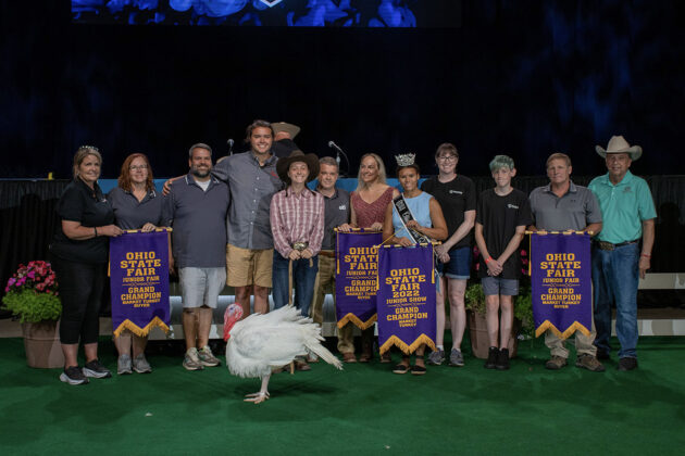 Grand Champion Turkey