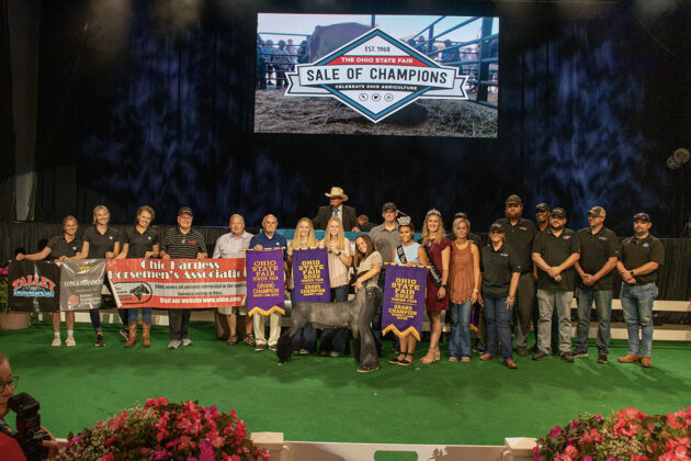 Grand Champion Market Lamb