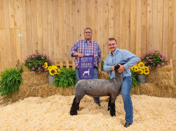 Grand Champion Lamb