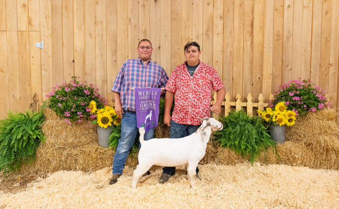 Reserve Champion Boer Goat