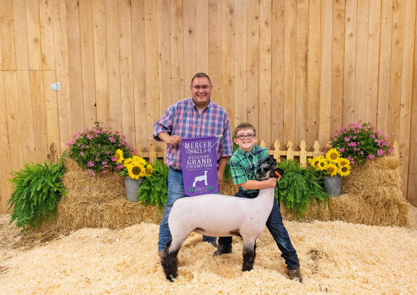 Reserve Champion Lamb