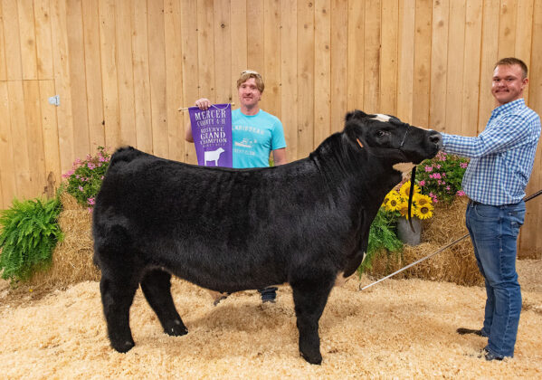 Reserve Champion Steer