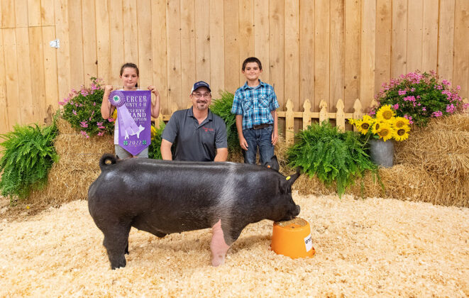 Reserve Champion Hog
