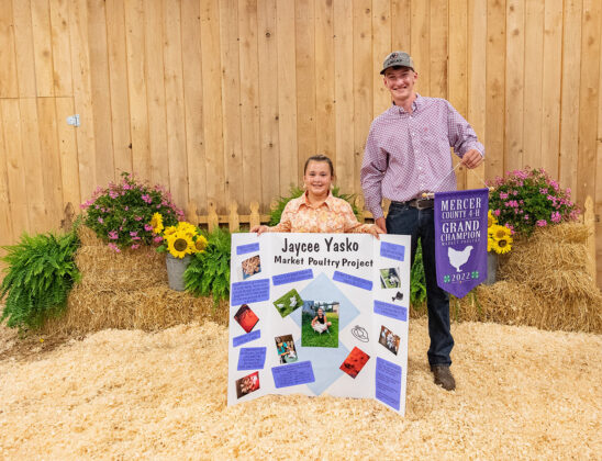 Grand Champion Chickens