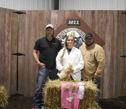 Reserve Champion Ducks