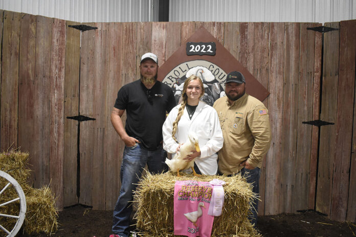 Reserve Champion Ducks Reserve Champion Ducks