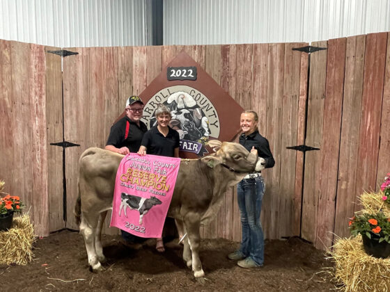 Reserve Champion Dairy Beef Feeder