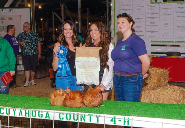 Grand Champion Chickens