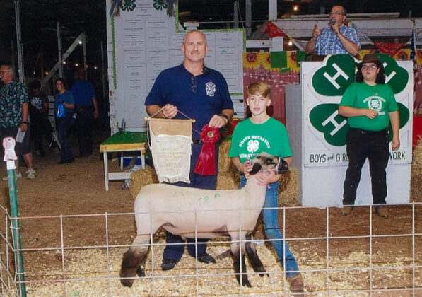 Reserve Champion Lamb