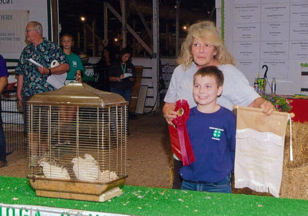 Reserve Champion Quail