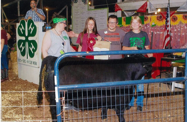 Reserve Champion Steer