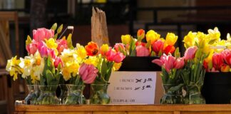 Maston receives 2022 West Virginia Women in Agriculture Award flower cart